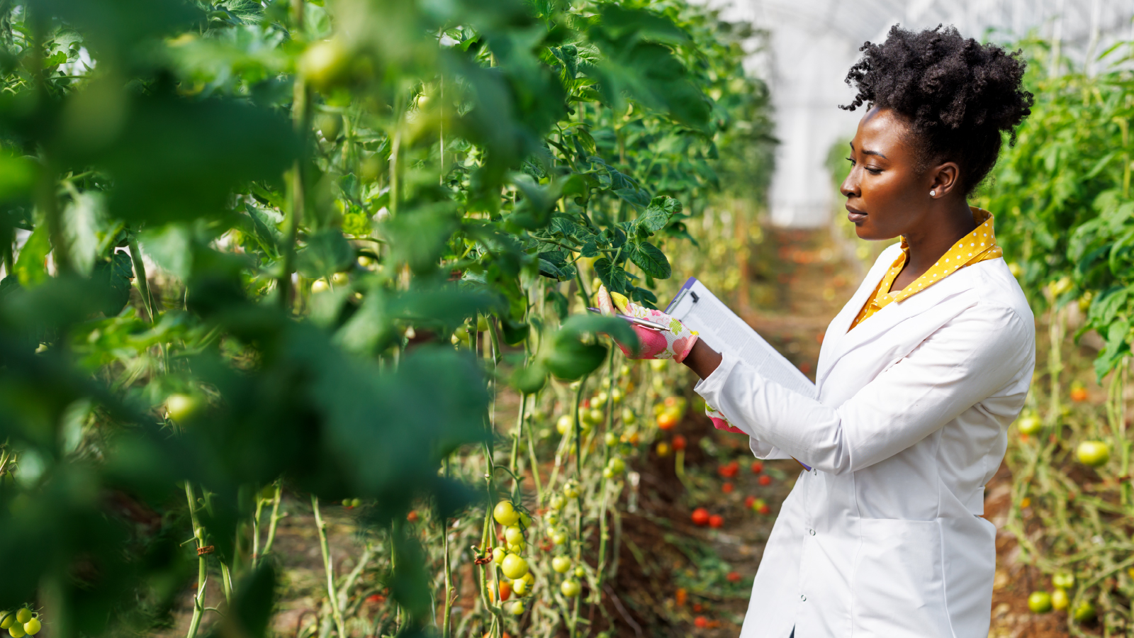BayerCropScience Lead Image BayerCropScience Lead Image