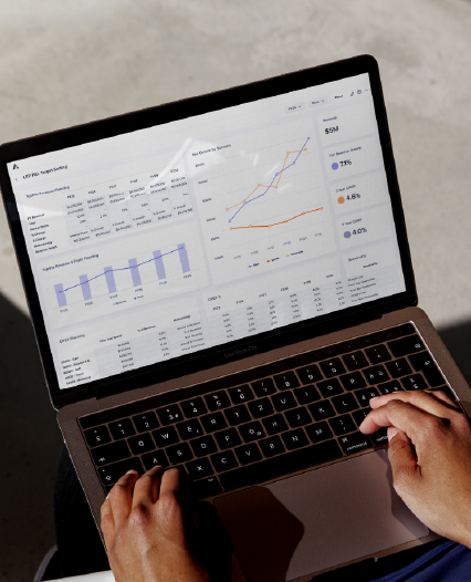 Finance Solutions Overview Image An individual engaged with a laptop, which features a graph, suggesting research or solutions tracking.